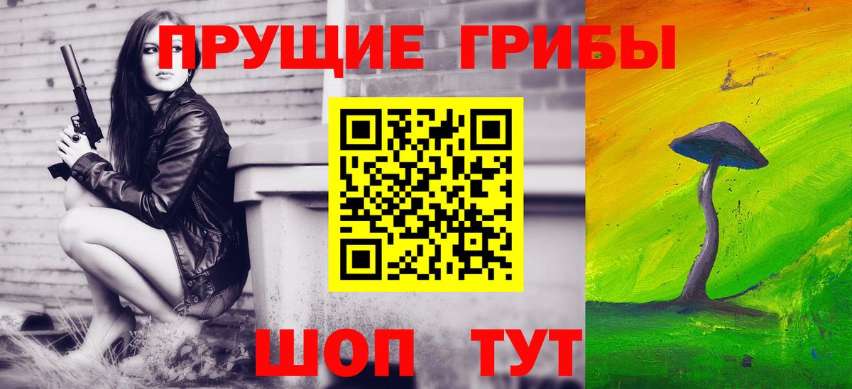 Псилоцибиновые грибы ЛСД Сокол