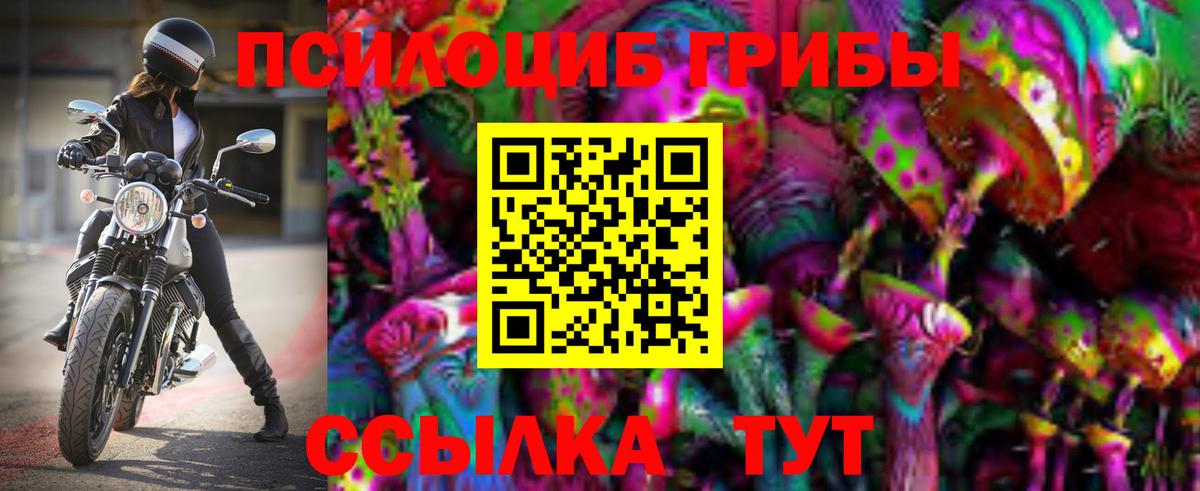 Псилоцибиновые грибы GOLDEN TEACHER  Вход с VPN  Сокол 